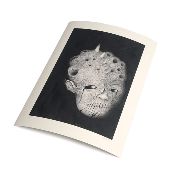 A Limited Edition paper print of Marcel Bakker - Dark Face of the Moon, total photo