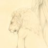 Detail of Michael Parkes Last Lion
